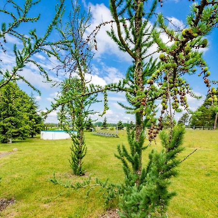 Pension Zum Reiterhof Schmogrow Екстериор снимка